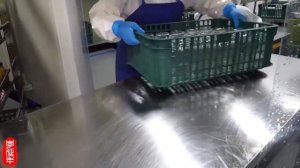 завод по производству фруктовых консервов!