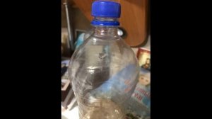 Кому надо тот сам меня найдет. Свидетельство р. Божьей Ирины о святости Старца Алексия Пензенского.