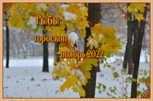 Рыбы! Гороскоп на ноябрь 2022 года!