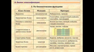 1_FFC_Lect1_ZAO_Статика1