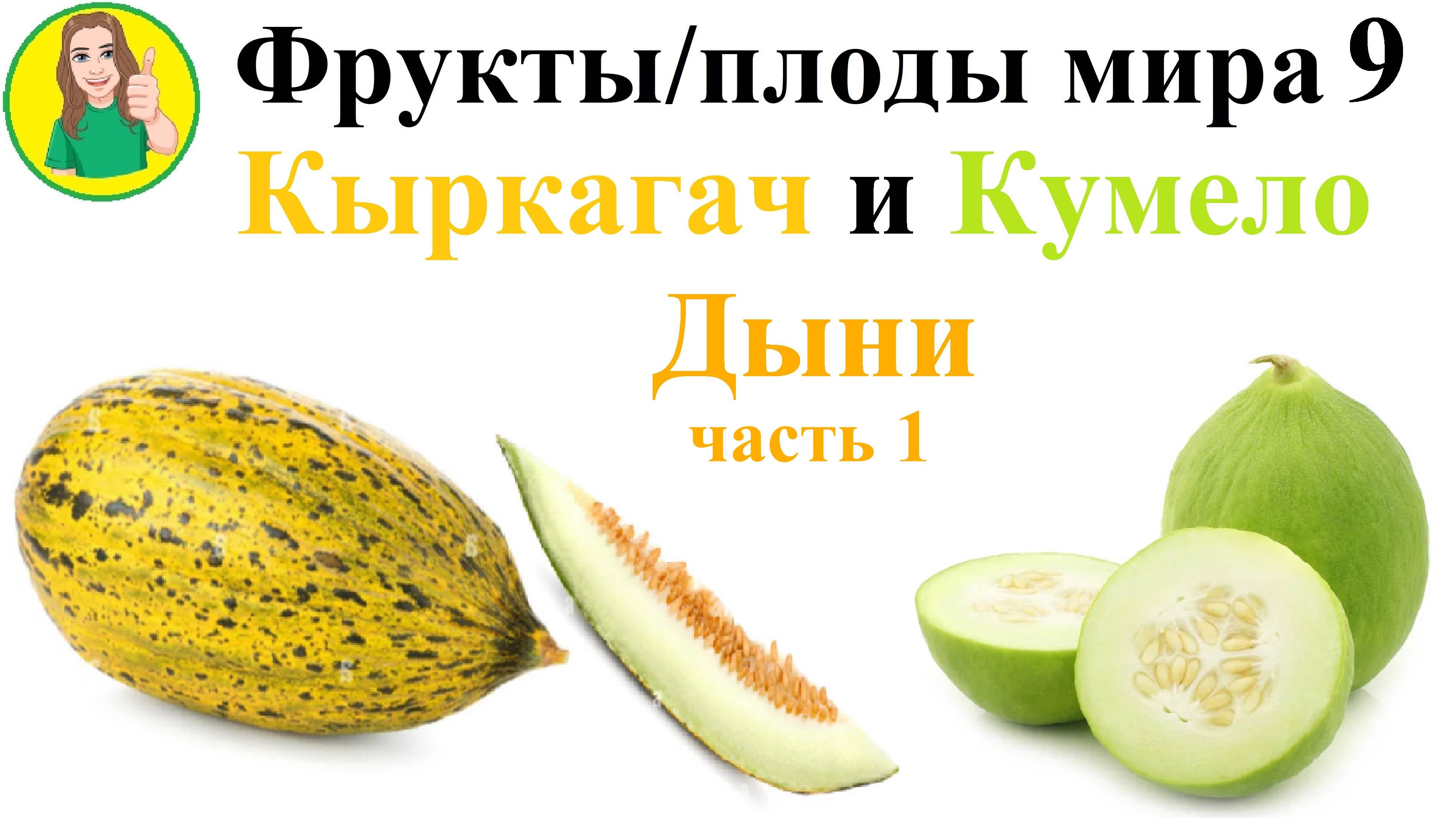 Фрукты - плоды мира 9 – Дыни Кыркагач и Кумело Сыроедение Фрукторианство