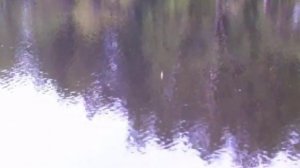 Рыбалка на "Чудском озере"