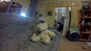 МИШКА УБИЦА !