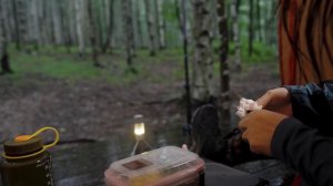 ДОЖДЛИВЫЙ и ШТОРМОВЫЙ Березовый лес, Кемпинг в одиночку. дождь ASMR