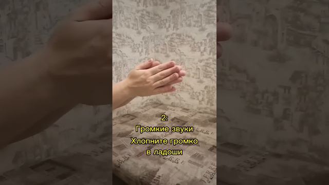 3 Безопасных способа как можно наказать кошку