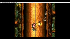donkey kong 3 all bonus levels and dk coin   barrel shield bust up