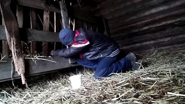 КАК ЯГНЕНОК? ЧТО С КОРМУШКОЙ? | ЖИЗНЬ В ДЕРЕВНЕ