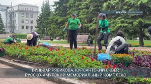 Высадка цветов на городские клумбы Иркутска завершится к 20 июня
