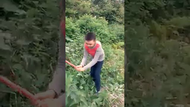 #ДобрыеДела# 2А класс, г. Горно-Алтайск, Гимназия 9 смотреть онлайн