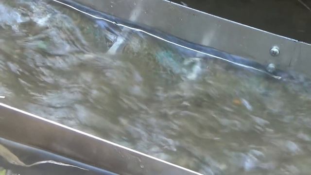 Мою золото минишлюзом на  ручье!!! Пока большая вода...