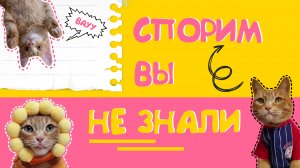 СПОРИМ ВЫ НЕ ЗНАЛИ