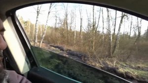 Купили ПРИБОР RUTUS ALTER 71 ОБЗОР ТЕСТ и ПЕРВОЕ ЗОЛОТО