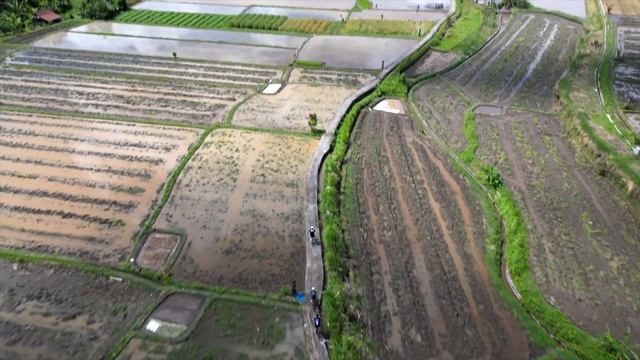 Мечтаешь о Бали? Получи больше! Скрытый Убуд на Электровелосипедах. Что делать и где гулять на Бали смотреть онлайн