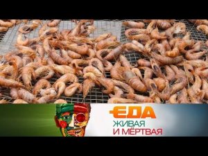 "Еда живая и мёртвая": сравнение креветок, вред от энергетиков и все о лавровом листе (02.02.2019)