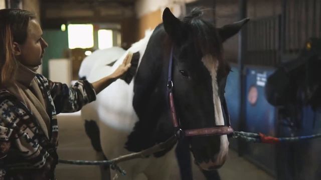 О постое в Конном клубе "Галактика" 2020 смотреть онлайн