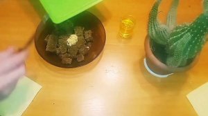 Прикормка карась чеснок своими руками. Прикормка для карася. Рыбалка 2023