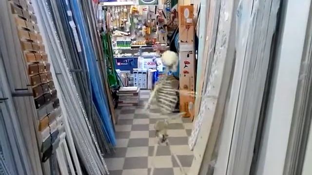 Прикол череп смотреть онлайн