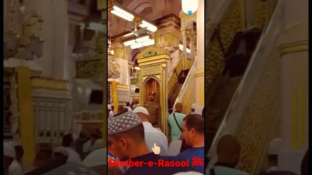 Riaz Ul Jannah Ki Ziyarat aur Fazilat 😍 Masjid e Nabawi | Mimbar-e-Rasool ﷺ | Jannat ki Kyari,Madin смотреть онлайн