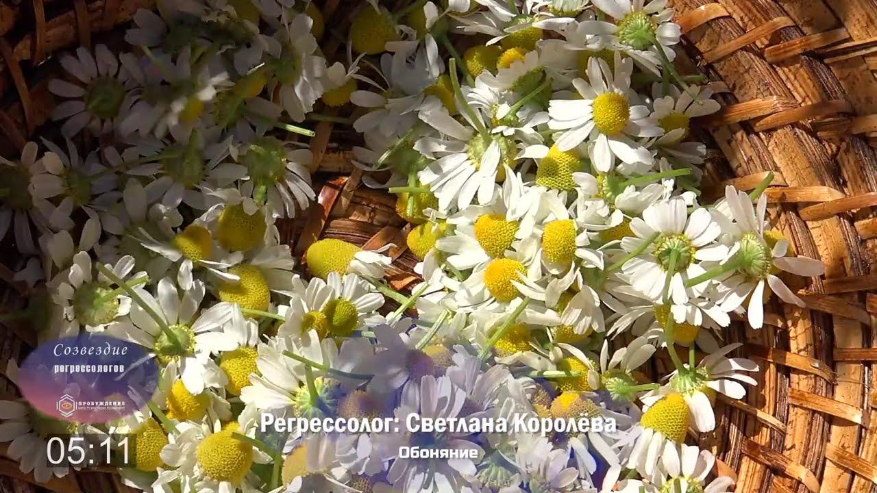 Обоняние / Созвездие регрессологов / Сеанс регрессии Светланы КОРОЛЁВОЙ (Испания)