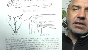Отыскиваем Точку ИНЬ-ГУ R-10