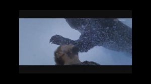 Кто же их будет всех хоронить_!