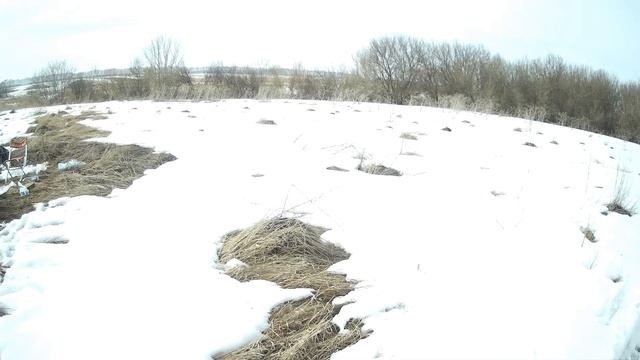 Охота , день второй, чуть не засадили НИВУ смотреть онлайн