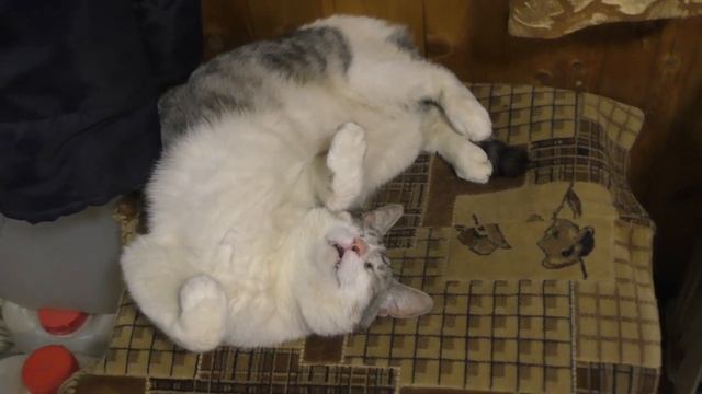 Тайны сна . ( The secrets of sleep ) часть 2 . смотреть онлайн