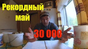 Заработать 30 тысяч // Рекордный май // Жизнь в деревне