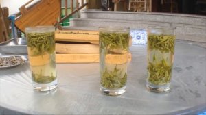 ХАНЧЖОУ КИТАЙ  ДОСТОПРИМЕЧАТЕЛЬНОСТИ / ЛУЧШИЕ ГОРОДА КИТАЯ / ПОЛЬЗА И ВРЕД ЗЕЛЕНОГО ЧАЯ