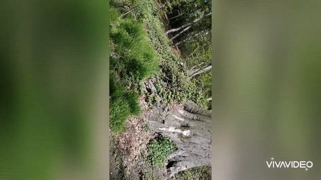 Замок Бенрат в Дюссельдорфе.  Часть 7я
