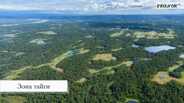 Солтүстік Америка табиғатының алуан түрлілігі смотреть онлайн