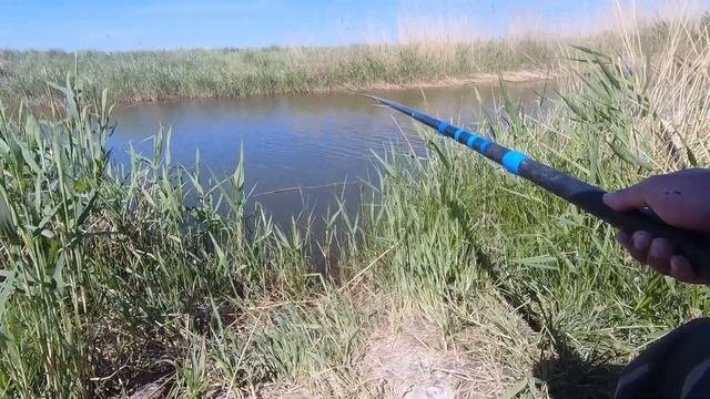 Карась на поплавок после нереста.