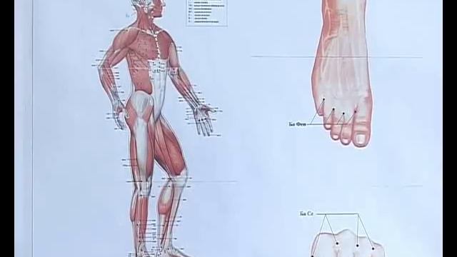 Санаторий "Мотылек" - Анапа - Самое яркое солнце России! смотреть онлайн