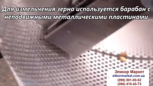 Корморезка,Зернодробилка Эликор-1 Исполнение 1 (для зерна и корнеплодов)