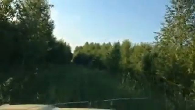 Видео охота на кабана смотреть онлайн