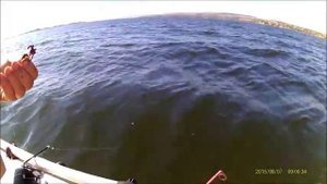 Лещ на мормышку