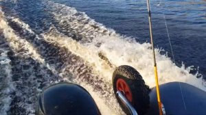 Азимут Эверест 385 + Hidea 9.9PRO