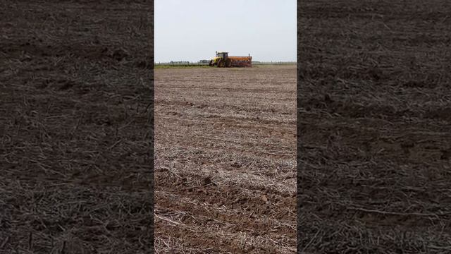 Siembra de soja 2014. смотреть онлайн