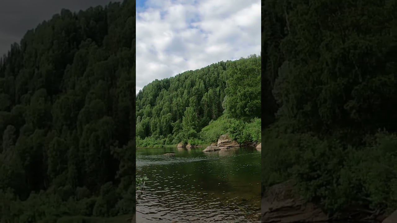 пение птиц атмосфера релакс
