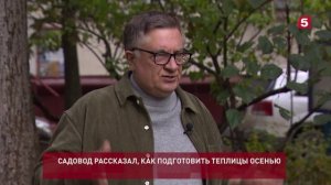 Обработка теплицы осенью без замены почвы — видео советы  Советы для дачи и участка.
