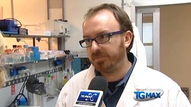 Domenica in piazza l'azalea della ricerca смотреть онлайн