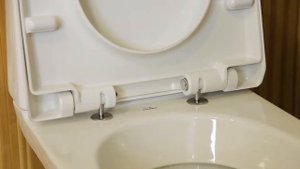 Сидіння унітазне Дюропласт