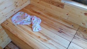 Полежали первый раз в апидомике. Сколько стоит апидомик построить..mp4