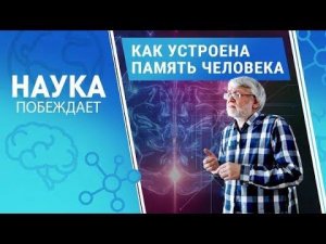 Память человека:  как мозг сохраняет информацию | ИНТЕРВЬЮ СО СПЕЦИАЛИСТОМ