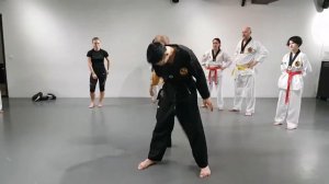 Self défense Hoshinsul ? twisting torsion   Master Olivier Sicard