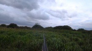 Охота на бекаса с эпаньолем Беллом. Красивые кадры и удачные выстрелы