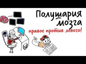 Полушария мозга: ПРАВОЕ ПРОТИВ ЛЕВОГО! — Научпок