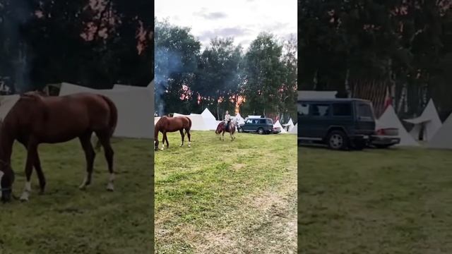 Что такое Благородство? Принцесса Арина на коне #всадники  #ПринцессаАрина