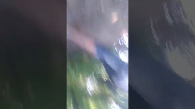 Медведь боя смотреть онлайн