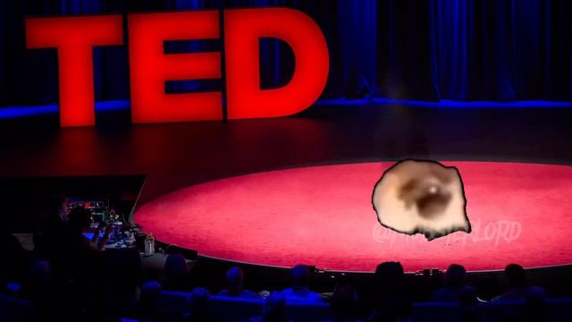 Original Pug dancing meme смотреть онлайн